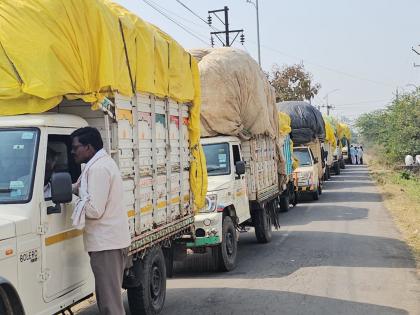 'CCI' cotton center opens in Hingoli after 13 years, price Rs 6920 per quintal | तब्बल १३ वर्षांनंतर हिंगोलीत ‘सीसीआय’चे कापूस केंद्र सुरू, प्रति क्विंटल ६९२० रुपयांचा भाव