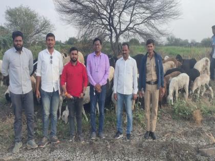 Tempo caught transporting 115 goats without licence | विनापरवाना ११५ शेळ्यांची वाहतूक करणारा टेम्पो पकडला