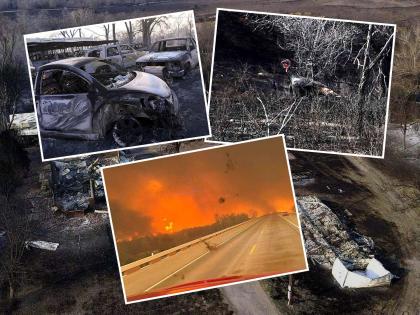 अग्निकल्लोळ! Texas च्या जंगलात भीषण आग; शेकडो प्राण्यांचा मृत्यू, हजारो घरं जळून खाक