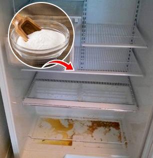 फ्रिजमधून दुर्गंधी येते-झुरळंही फिरतात? डब्यात 'ही' पांढरी पावडर घालून ठेवा; फ्रिज राहील कायम स्वच्छ