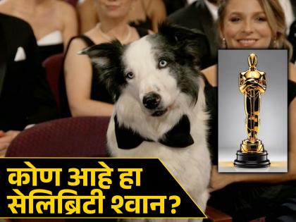 oscars-2024-anatomy-of-a-fall-messi-surprises-everyone-with-his-appearance-at-the-96th-academy-awards-ceremony | Oscars2024: चक्क श्वानासाठी होती सेलिब्रेटी चेअर; पुरस्कार सोहळ्यातील तो श्वान ठरतोय चर्चेचा विषय