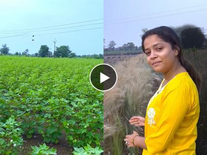 marathi actress shivali parab share village video on social media | 'मला गाव सुटना....'; गावच्या मातीत रमली शिवाली परब, शेअर केला शेतातील फोटो