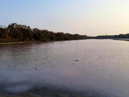 DPS pond gets a pink glow, flamingos' feathers turn pink after eating red algae | डीपीएस तलावाला मिळाली गुलाबी कांती, लाल शेवाळ खाल्ल्याने फ्लेमिंगोंची पिसे होतात गुलाबी