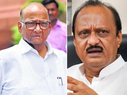 Ajit Pawar wanted to work under the leadership of Sharad Pawar Praful Patel made a big revelation | 'अजित पवारांना शरद पवारांच्या नेतृत्वाखाली काम करायचं होतं'; राष्ट्रवादीच्या बड्या नेत्याचा मोठा खुलासा