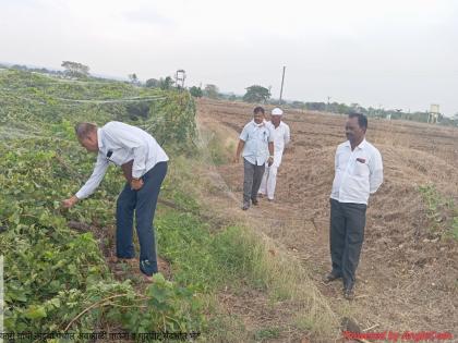 Unseasonal rains hit 160 hectares in Latur district | अवकाळी पावसाचा लातूर जिल्ह्यातील १६० हेक्टरला तडाखा