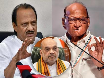 lok sabha election 2024 Sharad Pawar revealed that there was a discussion to go with BJP | 'भाजपासोबत जाण्यासाठी चर्चा झाली, पण अंतिम निर्णय...' शरद पवारांचा मोठा गौप्यस्फोट