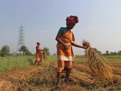 15 days ultimatum given for crop debt relief | पीक कर्जमुक्तीसाठी दिला १५ दिवसांचा अल्टिमेटम