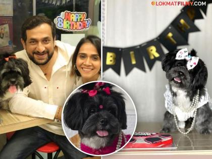 Prasad and Manjiri Oak celebrates pet Mascara ’s birthday with heartwarming video | प्रसाद व मंजिरी ओक यांनी मस्काराचा साजरा केला वाढदिवस! नटापटा करुन 'गुलाबी साडी' गाण्यावर बनवलं रील