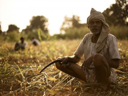 Pradhan Mantri Crop Insurance Yojana is best for company, Affected farmers get neglected | बाधित शेतकरी वाऱ्यावर ; प्रधानमंत्री पीक विमा योजनेत कंपनीचेच चांगभले