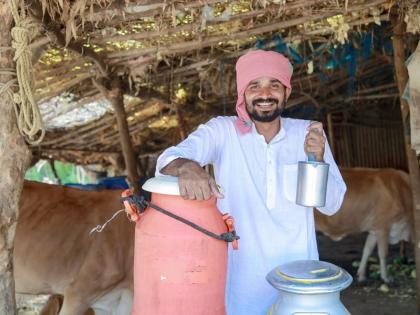 There is no milk for tea in the morning! | मामाच्या घरी शंभर गायी; पण सकाळी चहासाठीही दूध मिळत नाही !