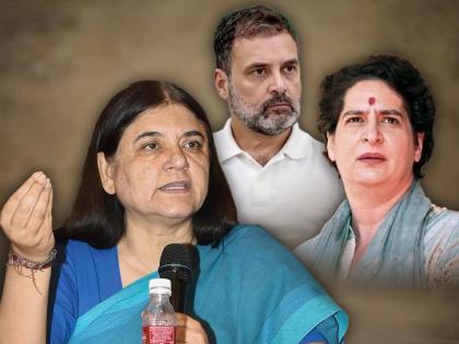 lok sabha election maneka gandhi on Rahul and Priyanka not think they evolved as politicican | Maneka Gandhi : "मला वाटत नाही विकास झालाय..."; राहुल आणि प्रियंका गांधींबद्दल काय म्हणाल्या मनेका गांधी?