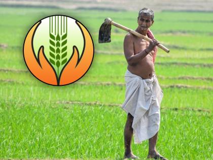 Out of 2 lakh 40 thousand farmers, only 19 thousand farmers benefit from crop insurance | २ लाख ४० हजार शेतकऱ्यांपैकी केवळ १९ हजार शेतकऱ्यांना पीकविम्याचा लाभ