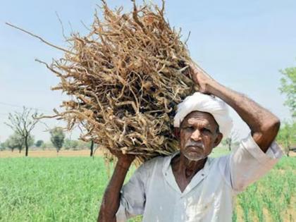 CIBIL force again on farmers for crop loan! | पीक कर्जासाठी शेतकऱ्यांवर पुन्हा सिबिल सक्ती !