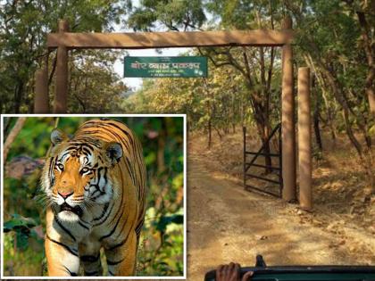 Bor Tiger Project is ready for the nature experience of environmentalists | पर्यावरणप्रेमींच्या निसर्गानुभवासाठी बोर व्याघ्र प्रकल्प सज्ज