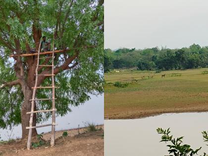 246 people experienced nature in Lakh Moonlight | लख्ख चंद्रप्रकाशात २४६ व्यक्तींनी घेतला निसर्गानुभव