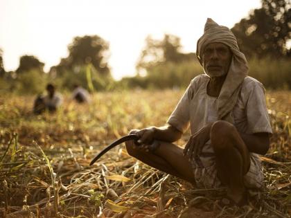 Farmers do 'KYC' by June 30; There is a possibility that the money will go back to the government | शेतकऱ्यांनो ३० जून पर्यंत 'केवायसी' करा; अभावी पैशे शासनाकडे परत जाण्याची शक्यता