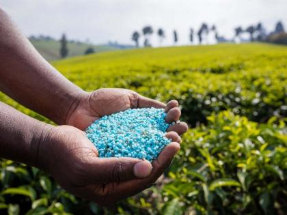 DAP Fertilizer will be available on subsidy; Did you apply? | अनुदानावर मिळणार डीएपी खत; तुम्ही अर्ज केला का ?