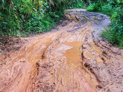 Lendejhari-Pilgrimage Gaimukh asphalting road is becoming dangerous | लेंडेझरी-तीर्थक्षेत्र गायमुख डांबरीकरणाचा रस्ता ठरतोय धोकादायक