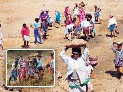 When will you pay 3 crore 81 lakh rupees for hard work to the laborers under Rohyo? | रोहयोअंतर्गत मजुरांना मेहनतीचे ३ कोटी ८१ लाख रुपये केव्हा?