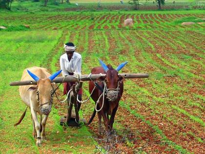 Beneficiaries of Mahatma Jotirao Phule Farmers Debt Relief Scheme deprived of benefits | महात्मा जोतीराव फुले शेतकरी कर्जमुक्ती योजनेचे लाभार्थी लाभापासून वंचित