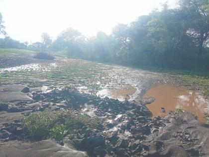 Loss of soybeans, cotton, tur, bananas due to heavy rains; 95 villages affected | अति पावसामुळे सोयाबीन, कापूस, तूर, केळीचे नुकसान; ९५ गावे बाधित