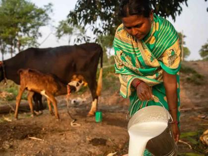 Give subsidy to all dairy farmers without conditions | २०१७ पासून पाच रुपये दरवाढीचे १३ कोटी रुपये शासनाकडे थकीतच