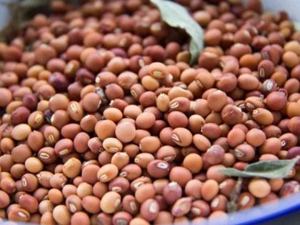 Price of Tur dal 10 thousand; What about farmers? | तुरीला १० हजारांचा भाव; शेतकऱ्यांच्या पदरात काय?