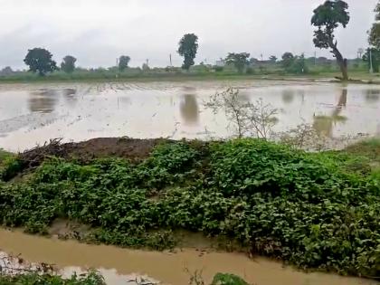 Cloudburst in Nalawada area; The weather station recorded 6 mm of rain | नालवाडा परिसरात ढगफुटी; वेदर स्टेशनला नोंद ६ मिमी पावसाची