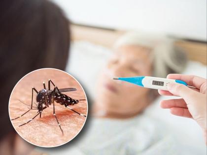 Consult a Doctor if you caught dengue; 28 people are infected in Amravati | डेंग्यू अंगावर काढाल तर जीव गमवाल; २८ जण फणफणले!