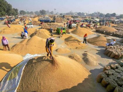 320 rice millers signed contracts for paddy wholesale | ३२० राईस मिलर्सने केले धान भरडाईचे करारनामे