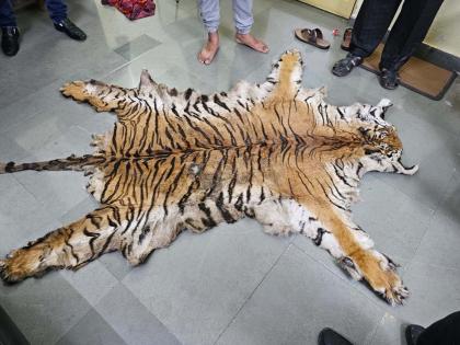 Wildlife smuggling racket busted; Six arrested | वन्यप्राण्यांची तस्करी करणाऱ्या रॅकेटचा पर्दाफाश ; सहा आराेपींना अटक