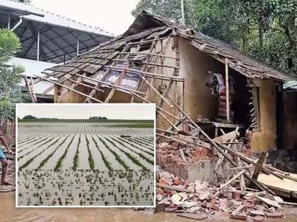 Damage to crops on 18 thousand hectares in Aheri sub-division | अहेरी उपविभागात १८ हजार हेक्टरवरील पिकांचे नुकसान