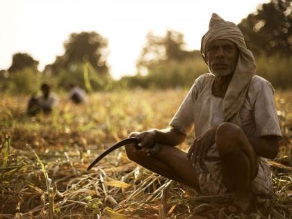 Why did the insurance company disqualify 2460 farmers from compensation? | २४६० शेतकऱ्यांना नुकसान भरपाईपासून विमा कंपनीने का केले अपात्र?