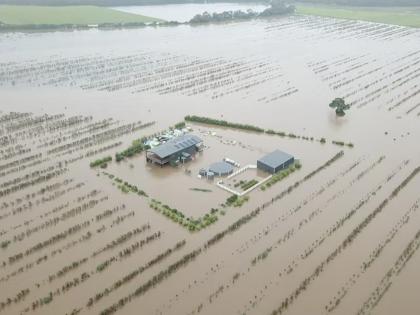 Complete panchnama of damage in 1200 hectares; Damage likely to increase due to heavy rains | १२०० हेक्टरमधील नुकसानीचे पंचनामे पूर्ण; अतिवृष्टीमुळे नुकसान वाढीची शक्यता