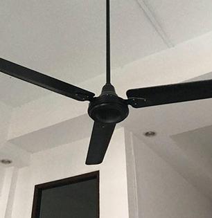पंखा खूपच स्लो चालतोय? ४ ट्रिक्स, वेगाने चालेल पंखा-इलेक्ट्रिशनयनला बोलावण्यापूर्वी ‘हे’ तपासा