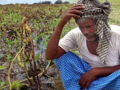 Farmers sprayed herbicides, burning 150 acres of soybeans | शेतकऱ्यांनी तणनाशक फवारले, दीडशे एकरांतील सोयाबीन जळाले