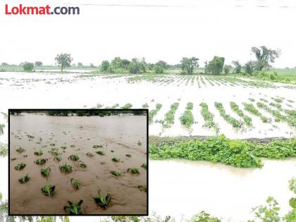 9 thousand 420 farmers were hit by unseasonal rain in Bhandara district | भंडारा जिल्ह्यात अवकाळी पावसाचा ९ हजार ४२० शेतकऱ्यांना बसला तडाखा