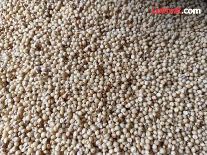 Government procurement of sorghum; When is the payment of 10 crores? | ज्वारीची शासन खरेदी; १० कोटींचे पेमेंट केव्हा?