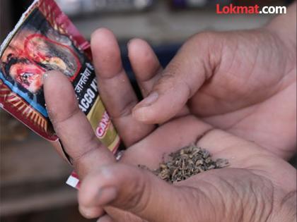 Gutkha is being sold openly in the district in the name of Ban Act | जिल्ह्यात गुटखा बंदी कायदा नावालाच, खुलेआम होतेय विक्री