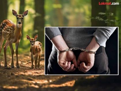 Arrested for carrying dice in field for hunting wild animals | वन्य प्राण्यांच्या शिकारीसाठी शेतात फासे बाळगणाऱ्याला अटक