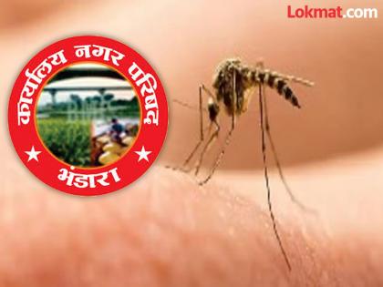 Mosquito infestation in the city; Is the city council going to take measures? | शहरात डासांचा प्रादुर्भाव; नगर परिषद उपाययोजना करणार आहे काय?