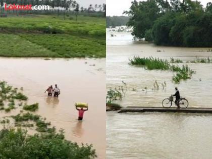 Farmers in distress; Thousands of hectares under water; As many as 1,230 houses collapsed; Two more days of orange alert | शेतकरी संकटात; हजारो हेक्टर क्षेत्र पाण्याखाली; तब्बल १,२३० घरांची पडझड; आणखी दोन दिवस ऑरेंज अलर्ट