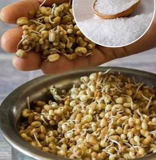 मोड आलेल्या कडधान्यांचा कुबट वास येतो? ५ टिप्स; कडधान्य राहतील फ्रेश - मोडही येतील सुरेख