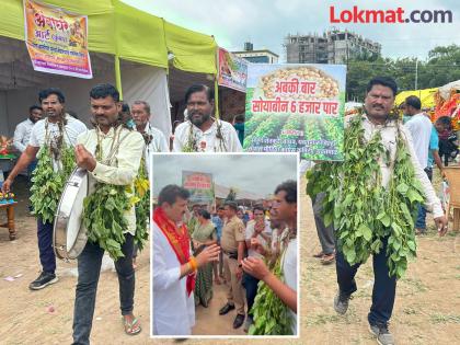 Farmers laid siege to the Guardian Minister in Yavatmal; Garland of cotton and soybean trees around the neck | यवतमाळात शेतकाऱ्यांनी घातला पालकमंत्र्यांना घेराव; गळ्यात कापूस, साेयाबीनच्या झाडांची माळ घालून आंदाेलन