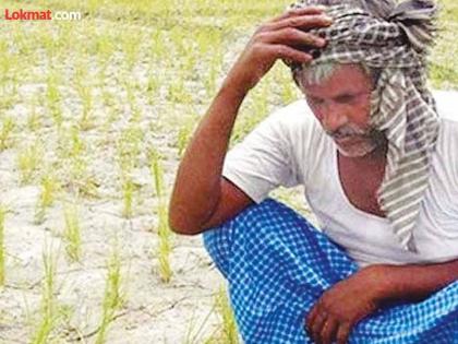 Heavy rains; Farmers turn to crop insurance | अतिवृष्टीची झळ; शेतकरी वळले पीक विम्याकडे