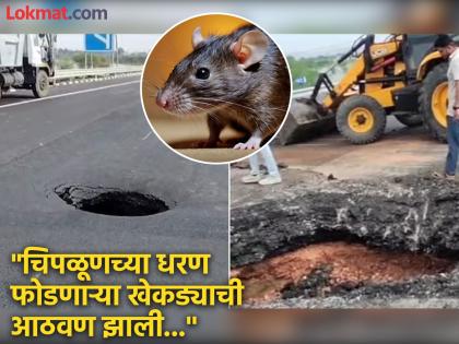 Dams infested with crabs, rats infested Delhi-Mumbai Expressway; Cars started flying in the air Rajasthan's Dausa caves in | खेकड्यांनी पोखरलं होतं धरण, उंदरांनी दिल्ली-मुंबई एक्सप्रेस वे; गाड्या हवेत उडू लागल्या