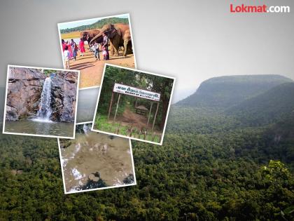 World Tourism Day: Have you visited these tourist spots in Gadchiroli? | जागतिक पर्यटन दिन : गडचिरोलीतील या पर्यटन स्थळांना भेट दिली का?