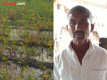 There was heavy rain, the crop was waterlogged; The farmer hanged himself in the cowshed | अतिवृष्टी झाली, पीक पाण्यात गेले; शेतकऱ्याने गोठ्यात घेतला गळफास