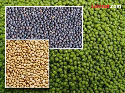 Nafed will buy soybeans, groundnuts at guaranteed prices | नाफेड सोयाबीन, मूगाची हमी भावाने करणार खरेदी