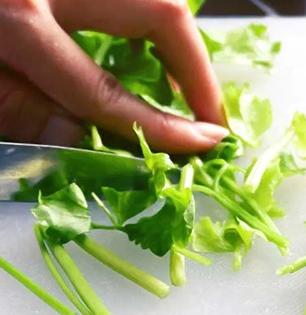 कोथिंबीरचे देठ फेकून न देता त्याचा 'असा' करा वापर, इवलुशा देठाचे माहित नसतील इतके उपयोग...